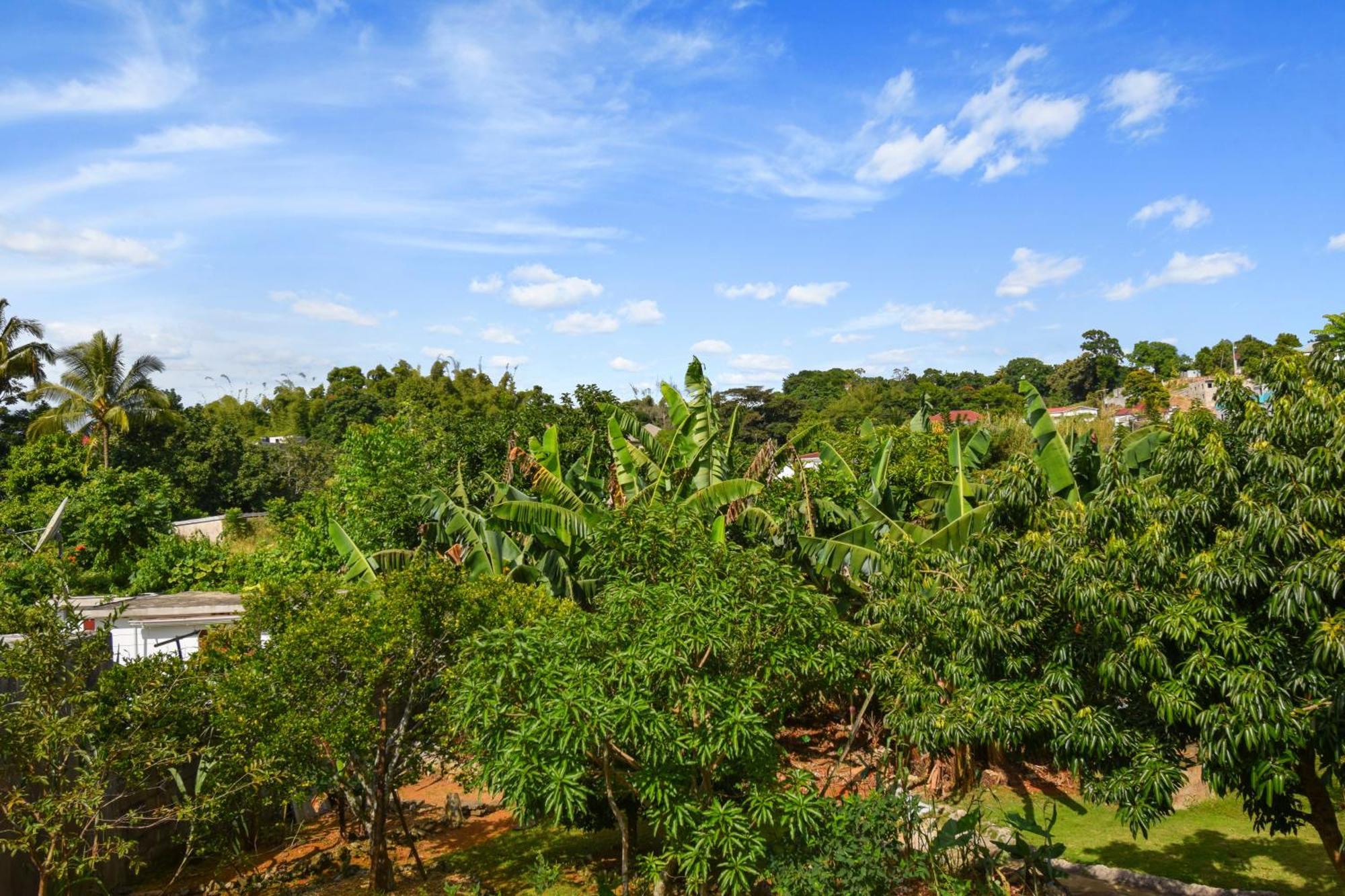 شقة Harriott Heights ماندفيل المظهر الخارجي الصورة